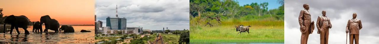 Botswana landscapes