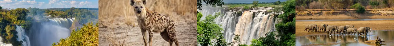 Zambia landscapes